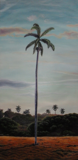 Palma Real - Arnoldo Nuñez pintor cubano
